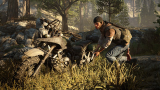 Man kneeling motorcycle forest rocks - rock and trees free wallpaper