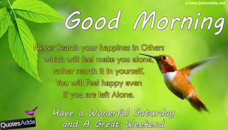 Hummingbird flying green background quote - a friend free wallpaper