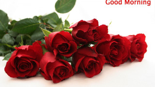 Red roses white table green - a white table next free wallpaper