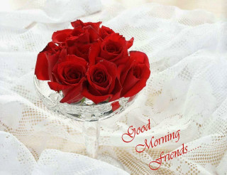 Glass vase red roses white 2 - a glass vase free wallpaper