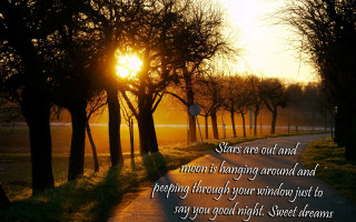 Sunset road trees night sky - tree and a sunset in the background free wallpaper