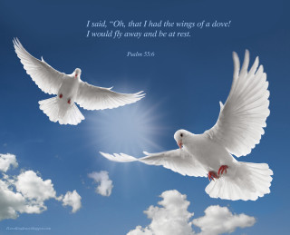 White doves flying gothic angel - the back of the image free wallpaper