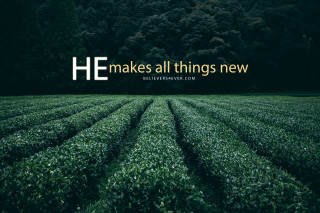 Green grass field quote new - ilm free wallpaper