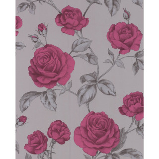 Pink rose wallpaper leaves flowers 2 - a pink rose free wallpaper