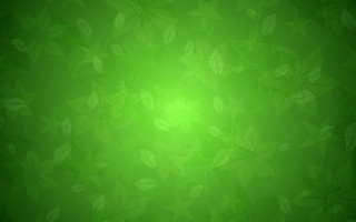 Green background leaves light green - green background free wallpaper