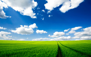 Green field sky clouds background - a dirt road free wallpaper