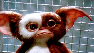 Stuffed animal big ears wire - david young cameron free wallpaper
