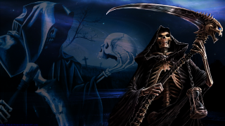 Skeleton holding sculler skull full - a skeleton holding free wallpaper