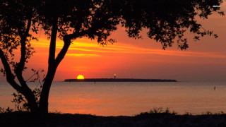 Sunset water tree lighthouse foreground - charles ragland bunnell free wallpaper