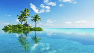 Tropical island palm trees hut 3 - palm tree and a hut free wallpaper