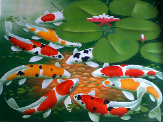 Koi fish swimming pond lily - an oil free wallpaper
