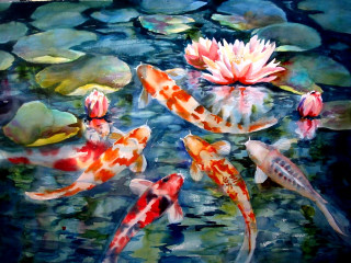 Koi fish lily pads watercolor - a pink flower free wallpaper