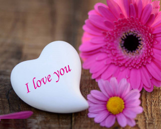 Heart box pink flower love - box free wallpaper