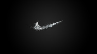 Black white bird flying dark - photo of a bird free wallpaper