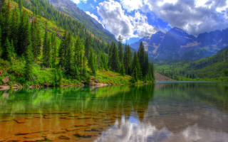 Mountain lake forest green leaves - a mountain lake free wallpaper