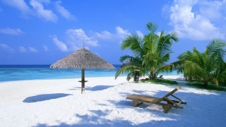 Beach thatched umbrella bench sand 3 - felipe seade free wallpaper