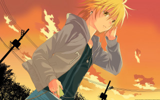 Blonde man jacket sunset telephone - a man free wallpaper for desktop