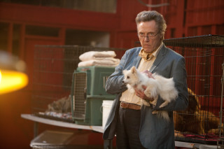 Man dog cage library magic - movie still free wallpaper