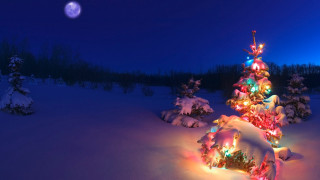 Christmas tree snow night full 4 - the snow free wallpaper