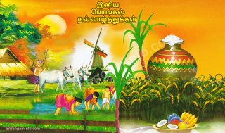 Village windmill horse man carriage - a windmill free wallpaper