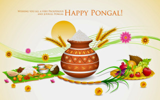 Colorful pot rice fruits happy - happy free wallpaper