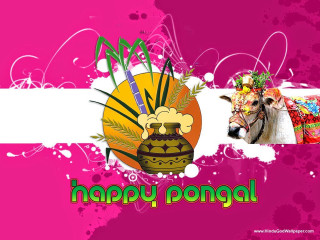Happy pongal cow vase flowers - happy free wallpaper