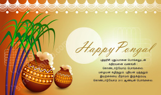 Happy pongal two vases plant - happy free wallpaper