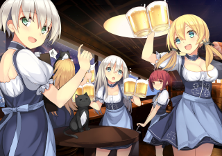 Women beer mugs cat table - their hand and a cat free wallpaper