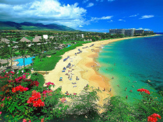Beach people flowers blue sky 2 - a few building free wallpaper