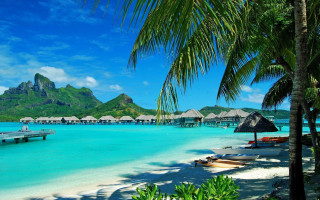 Beach dock palm trees mountain - beautiful scenery free wallpaper for desktop