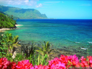 Hawaii ocean mountains flower scenery - a matte painting free wallpaper