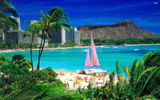 Sailboat beach palm trees buildings 4 - a sailboat free wallpaper