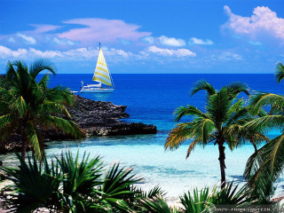 Sailboat ocean palm trees rocky 3 - a sailboat free wallpaper
