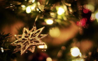 Christmas tree star ornament macro - art free wallpaper