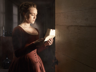 Woman red dress reading light - a flemish baroque free wallpaper