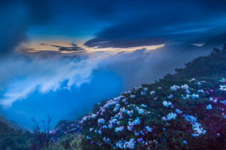 Mountain flowers cloudy sky clouds - mist free wallpaper
