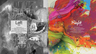 Collage woman face man head - a womans face free wallpaper