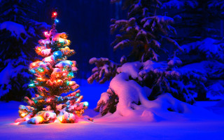 Christmas tree snow blue background - the snow free wallpaper
