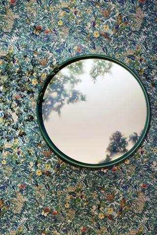 Round mirror wall tree reflection - round free wallpaper