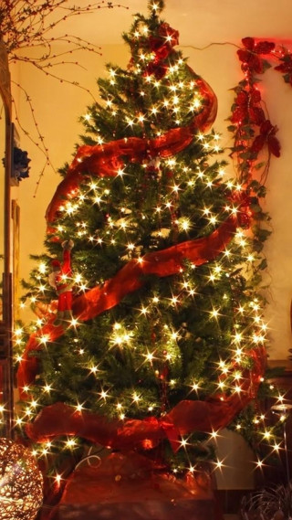Christmas tree red ribbon lights - free holidays wallpaper