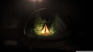 Tent glass dome trees night - inside free wallpaper