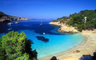 Beach boats trees blue sky 2 - the water and trees free wallpaper