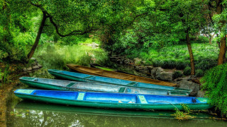 Three canoes river bank woods - tranquil free wallpaper for desktop