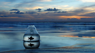 Bottle fish beach sunset surreal - sunset free wallpaper