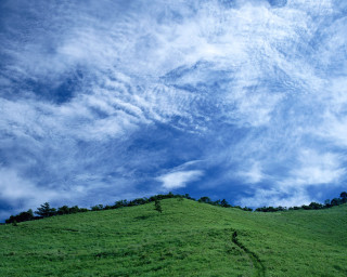 Green hill tree cloudy sky 2 - blue sky free wallpaper