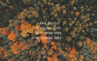 Forest quote follow jesus no - a picture of a forest free wallpaper