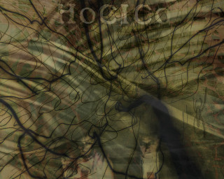 Blurry woman cellphone tree background - biomechanical free wallpaper
