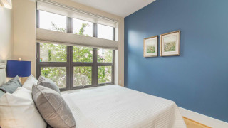 Bedroom window trees blue wall - a blue wall free wallpaper