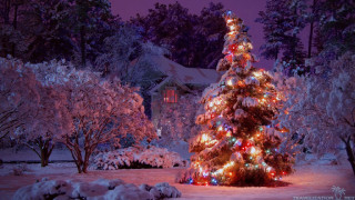 Christmas tree lit snowy yard 2 - evgeny lushpin free wallpaper