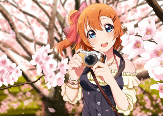 Girl taking picture cherry blossom - a polaroid photo free wallpaper for desktop